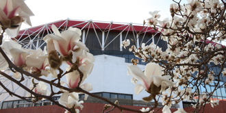 老哥俱乐部-老哥必备的交流社区