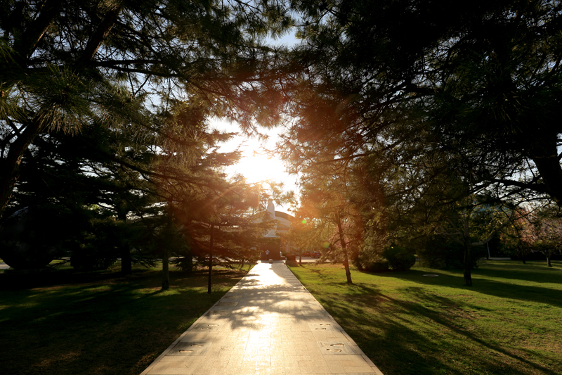 老哥俱乐部-老哥必备的交流社区