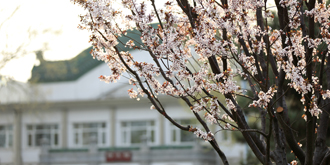 老哥俱乐部-老哥必备的交流社区