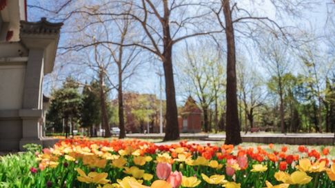 老哥俱乐部-老哥必备的交流社区