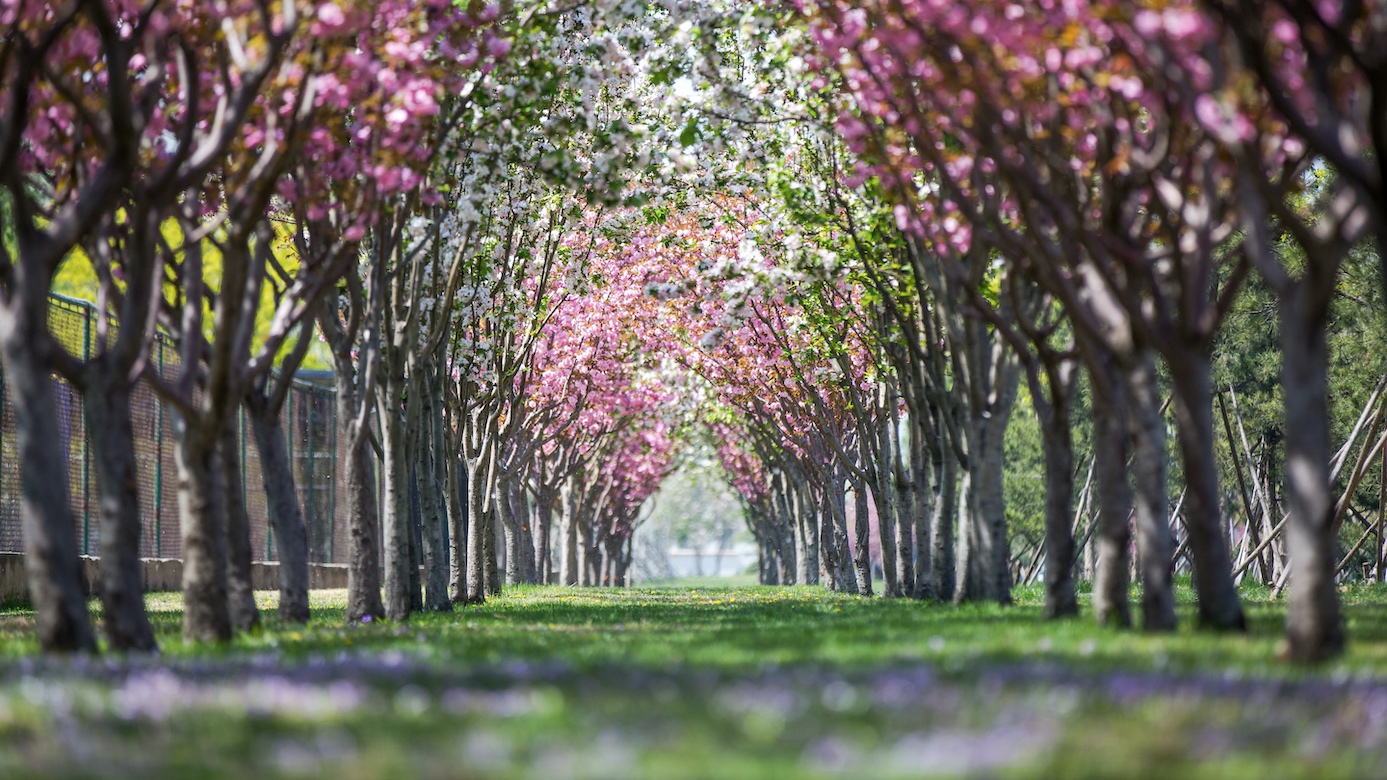 老哥俱乐部-老哥必备的交流社区