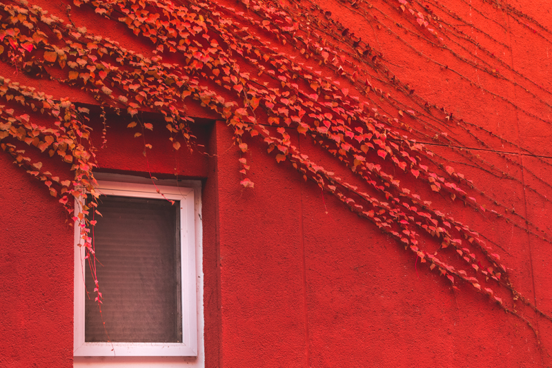 老哥俱乐部-老哥必备的交流社区