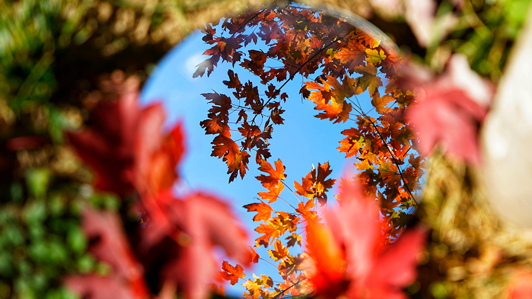 老哥俱乐部-老哥必备的交流社区
