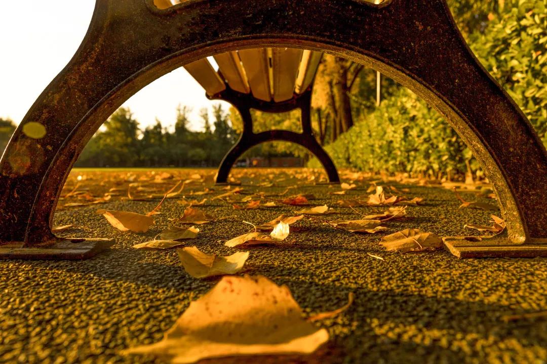 老哥俱乐部-老哥必备的交流社区