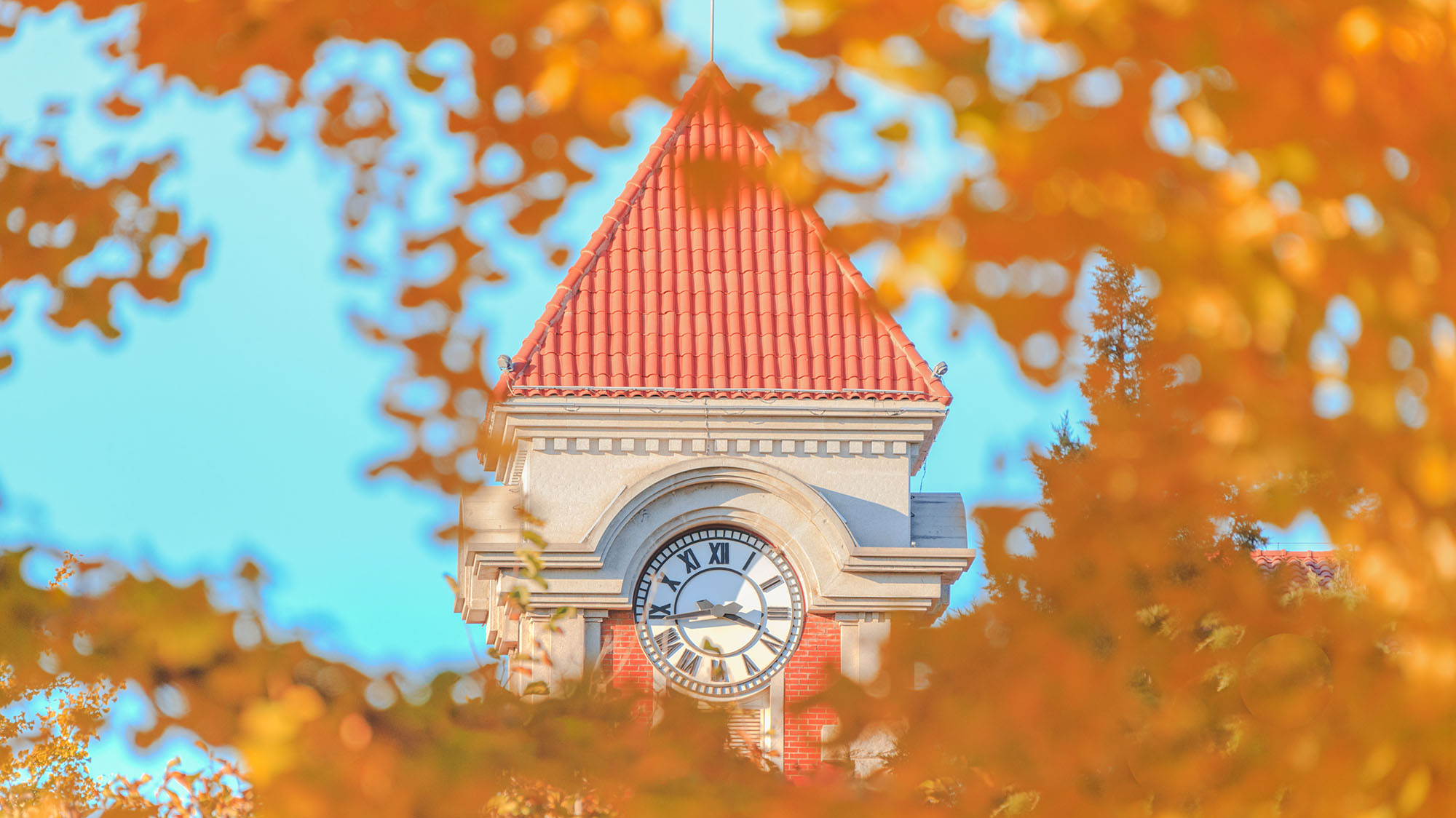 老哥俱乐部-老哥必备的交流社区