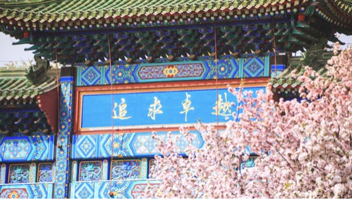 老哥俱乐部-老哥必备的互换社区